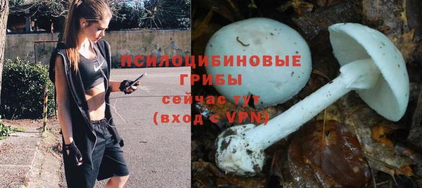 синтетический гашиш Надым