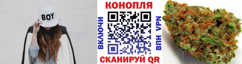 Шишки марихуана Amnesia  Грайворон 